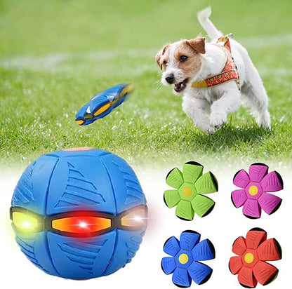 FurFrenzy Dog Frisbee