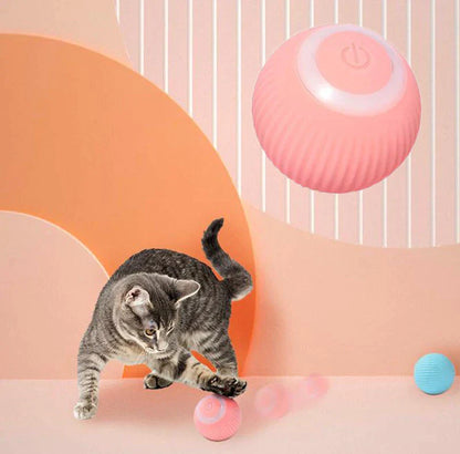 FurFrenzy Interactive Ball