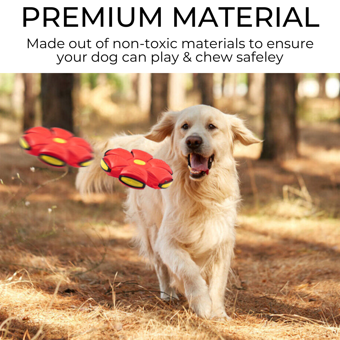 FurFrenzy Dog Frisbee