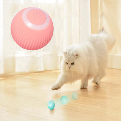 FurFrenzy Interactive Ball
